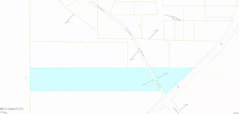 Bill Jones Road, Mount Olive, MS 39119 photo 2