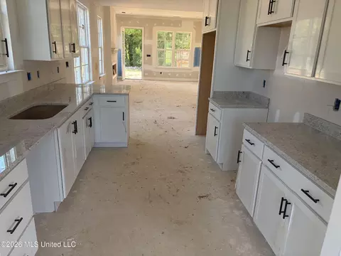 3206 Ac Freeman Dr, Hernando, MS 38632 photo 2