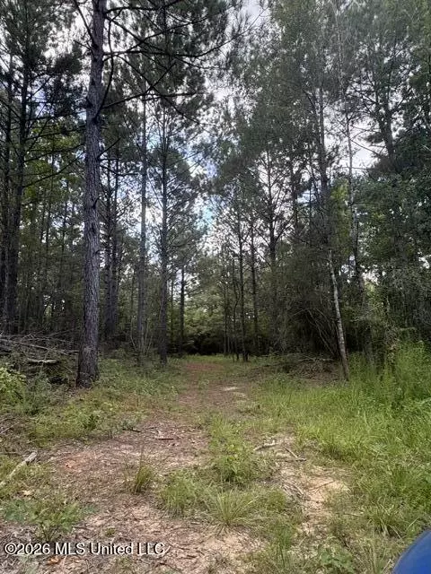 Parcel 2&3 Harper College Road, Gloster, MS 39638 photo 7