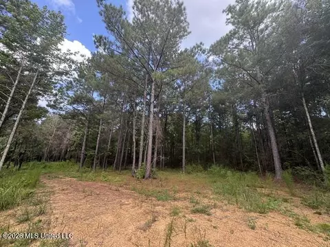 Parcel 2&3 Harper College Road, Gloster, MS 39638 photo 9