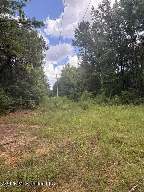 Parcel 2&3 Harper College Road, Gloster, MS 39638 photo 6