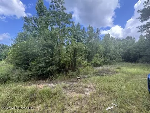 Parcel 2&3 Harper College Road, Gloster, MS 39638 photo 3