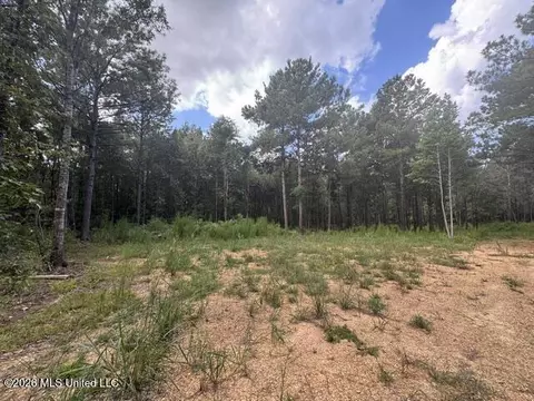 Parcel 2&3 Harper College Road, Gloster, MS 39638 photo 10
