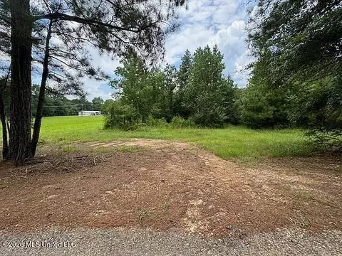 Parcel 2&3 Harper College Road, Gloster, MS 39638 photo 2