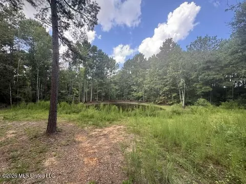 Parcel 2&3 Harper College Road, Gloster, MS 39638 photo 8