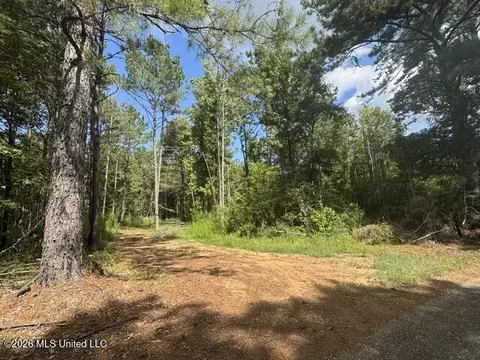 Parcel 2&3 Harper College Road, Gloster, MS 39638 photo 4