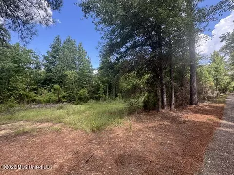 Parcel 2&3 Harper College Road, Gloster, MS 39638 photo 5