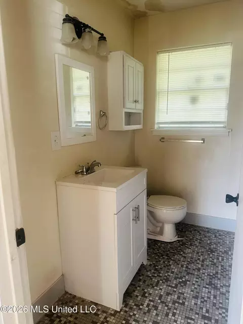 Bath - 508 Queen Park Cir, Jackson, MS 39209 photo 3 of 3