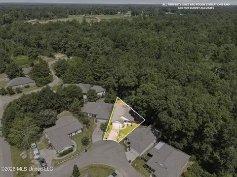View/Area - 13 Sienna Ln, Sumrall, MS 39482 photo 2 of 9