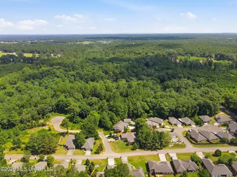 View/Area - 13 Sienna Ln, Sumrall, MS 39482 photo 7 of 9