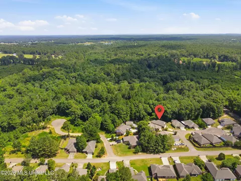 View/Area - 13 Sienna Ln, Sumrall, MS 39482 photo 8 of 9