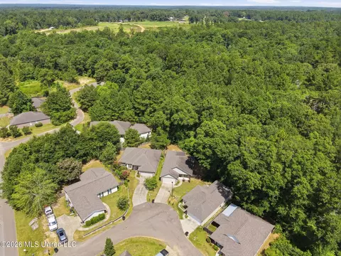 View/Area - 13 Sienna Ln, Sumrall, MS 39482 photo 1 of 9