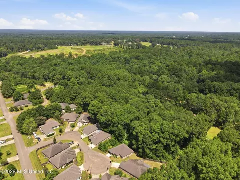 View/Area - 13 Sienna Ln, Sumrall, MS 39482 photo 3 of 9