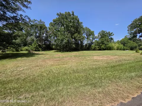 1041 3rd St, Wesson, MS 39191 photo 2