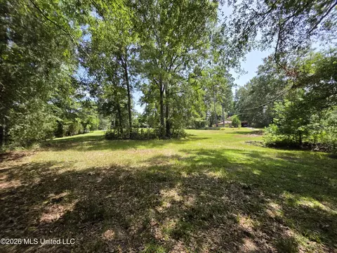 1041 3rd St, Wesson, MS 39191 photo 17