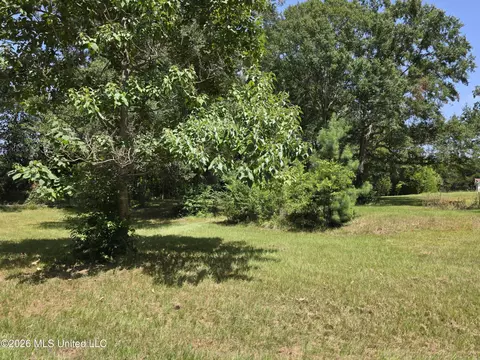 1041 3rd St, Wesson, MS 39191 photo 7