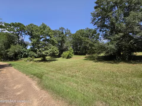1041 3rd St, Wesson, MS 39191 photo 9