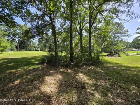 1041 3rd St, Wesson, MS 39191 photo 14