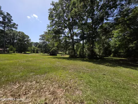 1041 3rd St, Wesson, MS 39191 photo 12