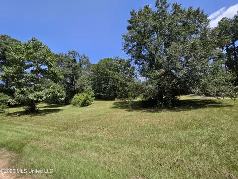 1041 3rd St, Wesson, MS 39191 photo 8
