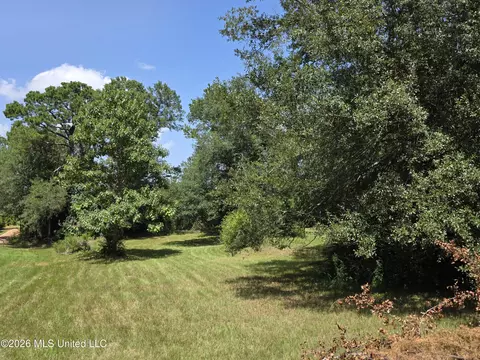 1041 3rd St, Wesson, MS 39191 photo 10