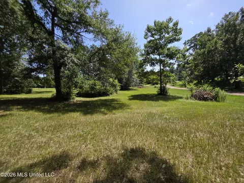 1041 3rd St, Wesson, MS 39191 photo 20