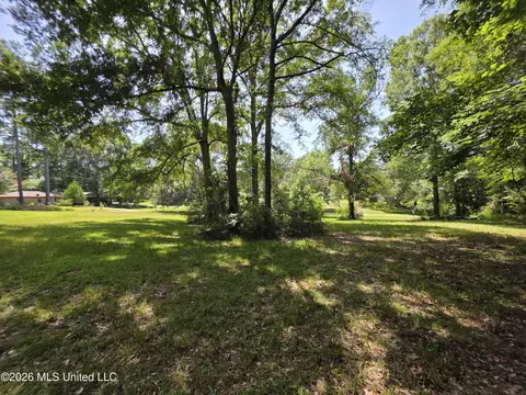 1041 3rd St, Wesson, MS 39191 photo 13