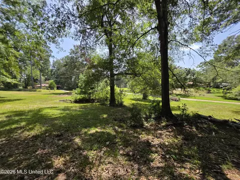 1041 3rd St, Wesson, MS 39191 photo 18
