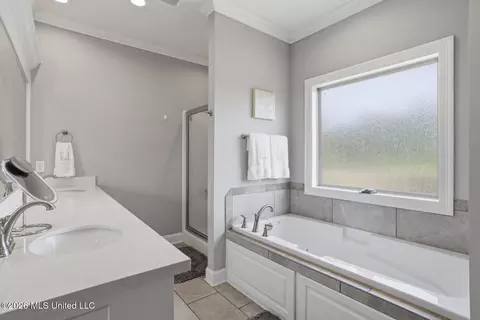 Bath - 283 Buttonwood Ln, Canton, MS 39046 photo 1 of 3