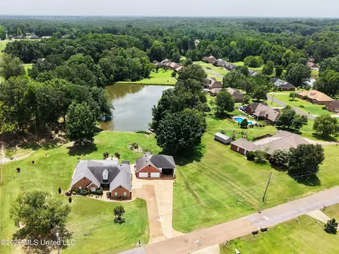 View/Area - 1977 Tara Lakes Dr, Hernando, MS 38632 photo 1 of 1
