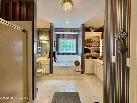 Bath - 100 Trace Ridge Dr, Clinton, MS 39056 photo 4 of 10