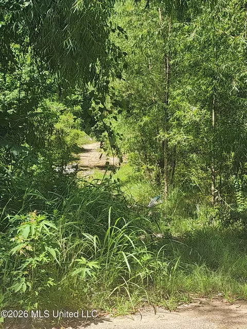 Other - 3210 Forest Avenue Ext, Jackson, MS 39213 photo 3 of 8