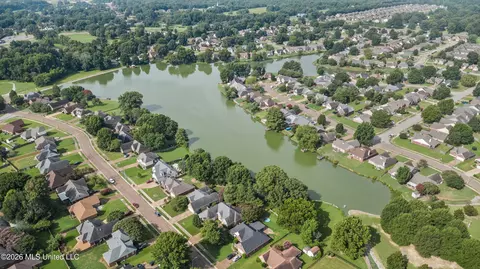View/Area - 9079 Hickory Dr, Olive Branch, MS 38654 photo 7 of 9