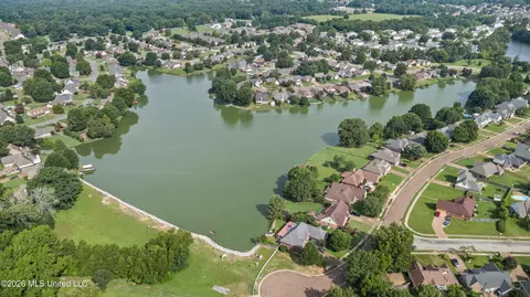 View/Area - 9079 Hickory Dr, Olive Branch, MS 38654 photo 8 of 9