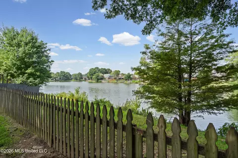 View/Area - 9079 Hickory Dr, Olive Branch, MS 38654 photo 2 of 9