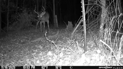 Other - 115 Rowe Dr, Braxton, MS 39044 photo 35 of 35