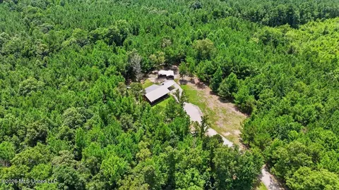 Other - 115 Rowe Dr, Braxton, MS 39044 photo 22 of 35