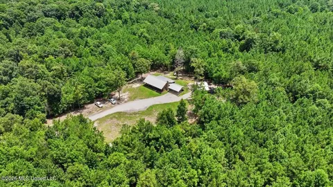 Other - 115 Rowe Dr, Braxton, MS 39044 photo 24 of 35