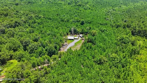 Other - 115 Rowe Dr, Braxton, MS 39044 photo 25 of 35
