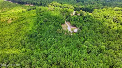 View/Area - 115 Rowe Dr, Braxton, MS 39044 photo 1 of 1