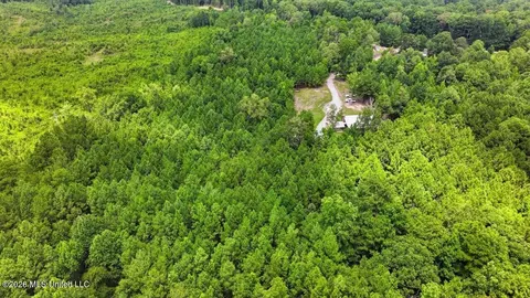 Other - 115 Rowe Dr, Braxton, MS 39044 photo 31 of 35