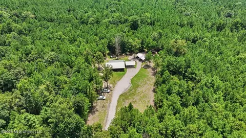 Other - 115 Rowe Dr, Braxton, MS 39044 photo 23 of 35