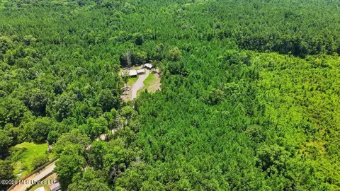 Other - 115 Rowe Dr, Braxton, MS 39044 photo 27 of 35
