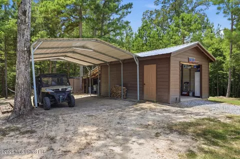 Other - 115 Rowe Dr, Braxton, MS 39044 photo 6 of 35