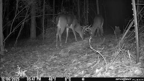 Other - 115 Rowe Dr, Braxton, MS 39044 photo 34 of 35