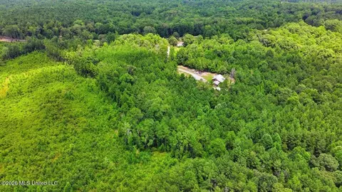 Other - 115 Rowe Dr, Braxton, MS 39044 photo 29 of 35