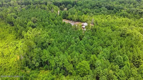 Other - 115 Rowe Dr, Braxton, MS 39044 photo 30 of 35