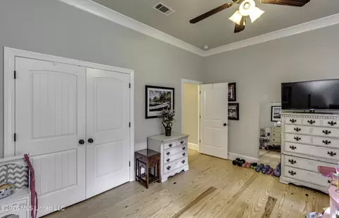 Other - 175 Carmichael Blvd, Madison, MS 39110 photo 8 of 13