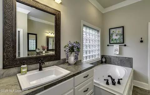 Bath - 175 Carmichael Blvd, Madison, MS 39110 photo 6 of 10