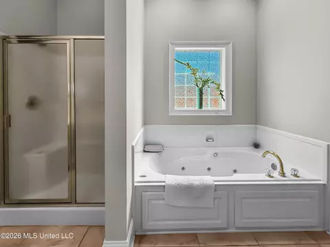 Bath - 313 Lasalle Ct, Flowood, MS 39232 photo 1 of 5